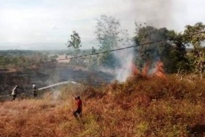 Penampakan lahan milik boa AS Putra yang terbakar.